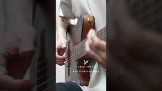 YesNo  Nylon Guitar with Whammy Pedal FRH10N [upl. by Aehtla269]