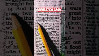 Revelation 1214 revelation revelation12 jesus bible [upl. by Euqor]