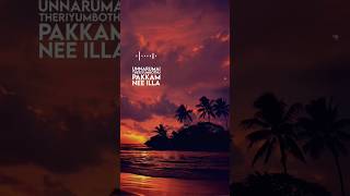 KAATRODU PATTAM WHATSAPP STATUS🥹PAKKATHULA VAZHUM POTHU SONG❤️ [upl. by Morty]