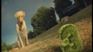 TV3 IDENT August 2009 to Present  Dog bone [upl. by Marlette933]