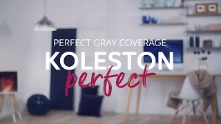 Everything You Need to Know About Koleston Perfect  Wella Professionals [upl. by Francklin]