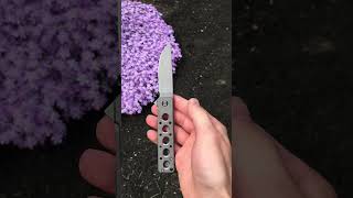 WE Miscreant 30 Folding Knife [upl. by Nerehs]