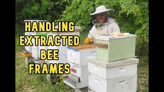 How to Handle Extracted Bee Hive Frames [upl. by Ear125]