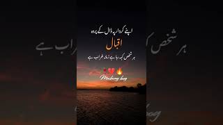 Iqbal poetry ilamaiqbalpoetry love poetrystatus sadpoetry [upl. by Mosi]