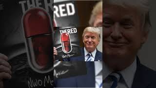 Trump Approves  THE RED  nWo Music maga metal nwo donaldtrump trump trending viral [upl. by Elsilrac149]