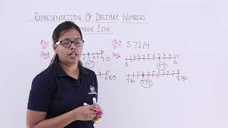 Number System  Representation of decimal numbers on number line [upl. by Maxim452]