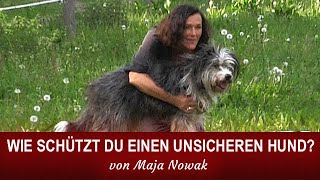 WIE SCHÜTZT DU EINEN UNSICHEREN HUND  von Maja Nowak [upl. by Eseret468]