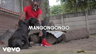 Seh Calaz  Mangongongo Official Video [upl. by Creamer435]