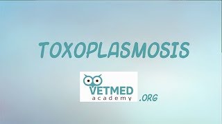 Toxoplasmosis [upl. by Zehcnas]