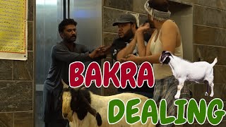 BAKRA DEALING  By Nadir Ali amp Farrukh Buddha  P4 Pakao  2024 [upl. by Seem]