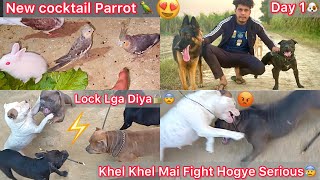 Khel Khel Mai Coco Or Jora Ka Serious Panga Hogya😨Lock B Lga Diya😡Tarzan Ka First Day🐶New Cocktail🦜 [upl. by Nessy]