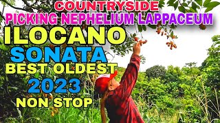 COUNTRYSIDE PICKING NEPHELIUM LAPPACEUMILOCANO SONATA BEST OLDEST 2023 NON STOPmrsmapalad [upl. by Treve]