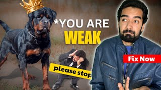 Your Dog Knows You’re Weak—Here’s How to Fix It [upl. by Houlberg]