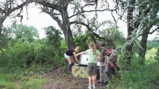 Wild Quail Release 070310 [upl. by Enak165]