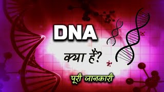 What is DNA With Full Information – Hindi – Quick Support [upl. by Esyle863]