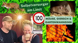 Viel zu tun und trotzdem glücklich  Selbstversorger am Limit  Mäuse Giersch und Gartenwahnsinn [upl. by Cordi]