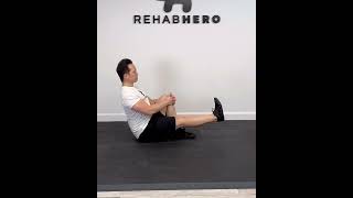 Seated Straight Leg Raise  Exercise for strengthening your hip flexors [upl. by Accebar]