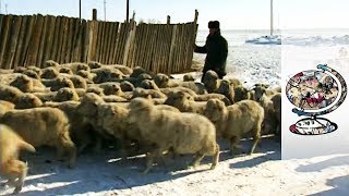 The Eccentric Leader of the Russian Republic of Kalmykia 1998 [upl. by Enelia]