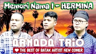 ARNADA TRIO  ARTIS BATAK PENDATANG BARU POTENSIAL  THE BEST NEW COMER [upl. by Alexandro741]