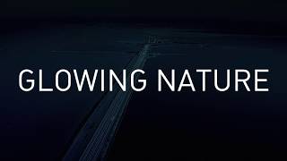 GLOWING NATURE by Daan Roosegaarde OFFICIAL VIDEO [upl. by Evelyn]