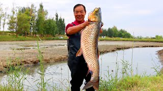 HUGE Carp Fish Fresh Caught from the Pond The Best Fish Stewed with Tofu  Uncle Rural Gourmet [upl. by Arebma243]