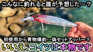 初使用で嘘みたいな釣果…ダイソー新作ミノーって爆荒れの海でこんなに釣れるんだ… [upl. by Suelo53]