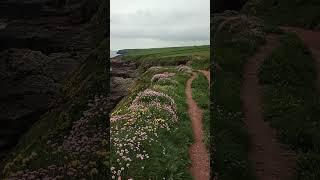 Heaven Irelands Waterford Coastline Absolutely Majestic [upl. by Sheaff110]