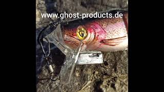 Fischen am Fluss auf Huchen mit Ghost Sideplaner und Ghost Schleppsystem [upl. by Webster]