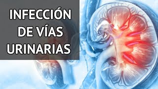 INFECCIÓN DE VÍAS URINARIAS síntomas diagnóstico y tratamiento  Con Dr Roberto Villagómez [upl. by Patman]