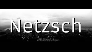 How to pronounce Netzsch in German [upl. by Ttimme731]