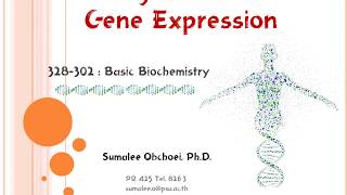 Trans Gene Part3 Gene regulation [upl. by Noemad945]