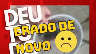 FUI NO DEPÓSITO E OLHA Que ME ACONTECEU 😬CHÁ DA FOLHA 🌿 DO GUAPÓ E TÔNICO DE FOLHA DE GOIABAmaeso [upl. by Rayle]