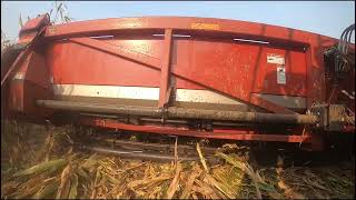 Yetter Stalk Devastators  New Ag Supply [upl. by Worsham]