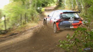 Rallye Terre de Lozère 2023  Day 1 CRASH Todeschini  RallyeFix [upl. by Herriott]