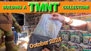 Building a TMNT Toy Collection  October 2024 Update More 2012 Figures have arrived [upl. by Hull]