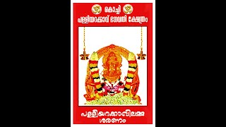 Sri Palliyarakavilamma Temple [upl. by Lleksah]