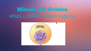 Mitotic Cell division மைட்டாசிஸ் செல் பகுப்பு [upl. by Aerdnael]