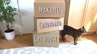 Casas para gatos con cajas de cartón [upl. by Angle]