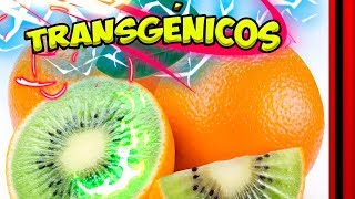 ⭕ TRANSGÉNICOS son peligrosos 🥕 Las 5 pruebas definitivas [upl. by Goda952]