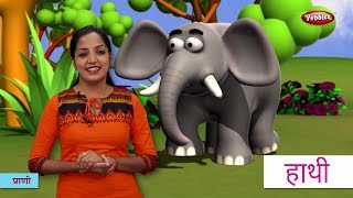 Animal Names in Hindi  हिंदी में प्राणियों के नाम सीखे  Hindi Animal Names For Children [upl. by Mose]