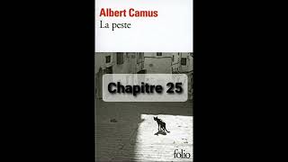 25  La peste de Camus  Chapitre 25  livre audio [upl. by Drawde]