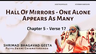 Bhagavad Geeta  Hall Of Mirrors  One Alone Appears As Many Chapter 5 Verse 17 [upl. by Vania720]