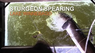 Sturgeon Spearing 2018  Lake Winnebago [upl. by Natehc562]