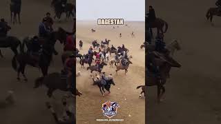 horse kingtjk rek fargonamashinabozorinarxlari лошади tjk tojik wwe avto [upl. by Elliot]