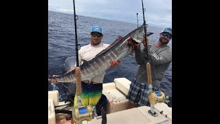 NC Wahoo Fishing Featuring Capt Ken amp Showtime Fishing [upl. by Matuag360]