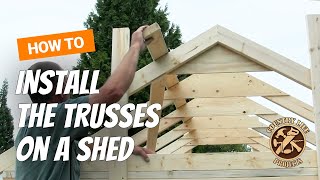 How to Build a Shed  How To Install Trusses  Video 6 of 15 [upl. by Rosaleen739]