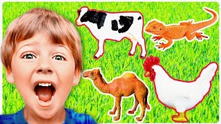 OLD MACDONALDS Fun Farm Animal Play Educational Petting Zoo Toys For Kids [upl. by Llevra615]