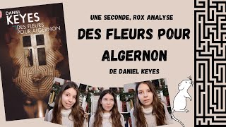 Analyse du roman quotDes fleurs pour Algernonquot de Daniel Keyes  Une seconde Rox [upl. by Infield]