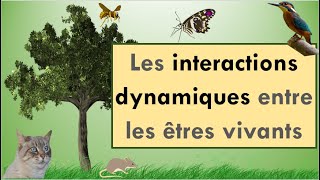 Les interactions dynamiques entre les êtres vivants [upl. by Ramgad]