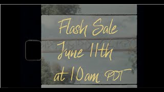 Dirtybird Campout Tickets Onsale Flash Sale Date Announced [upl. by Morell272]